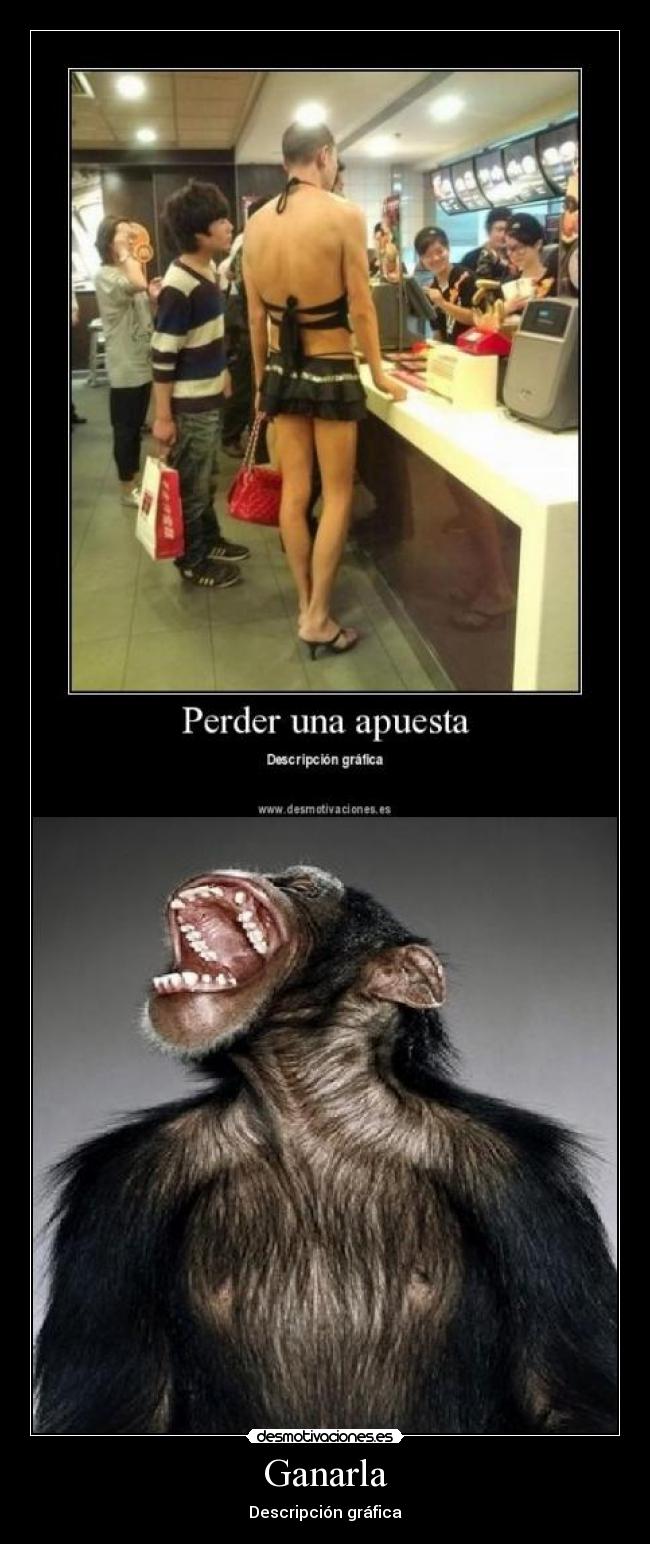 Ganarla - Descripción gráfica