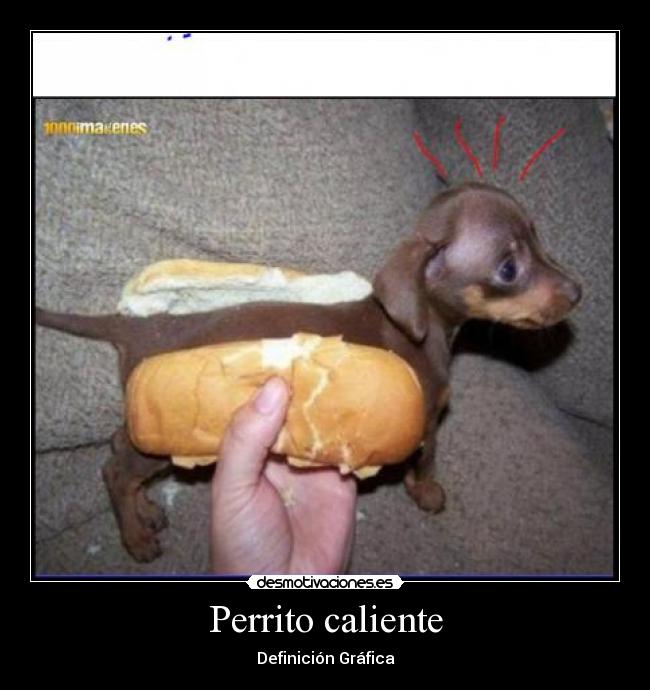 Perrito caliente - Definición Gráfica