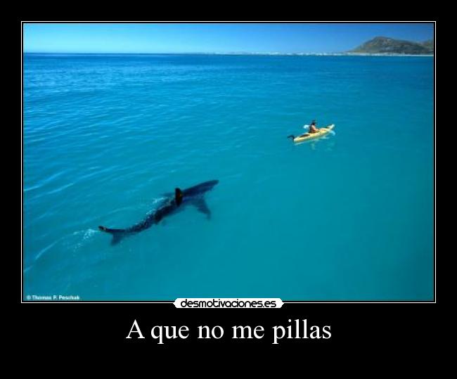 A que no me pillas -