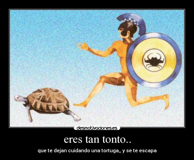 eres tan tonto.. - que te dejan cuidando una tortuga,, y se te escapa