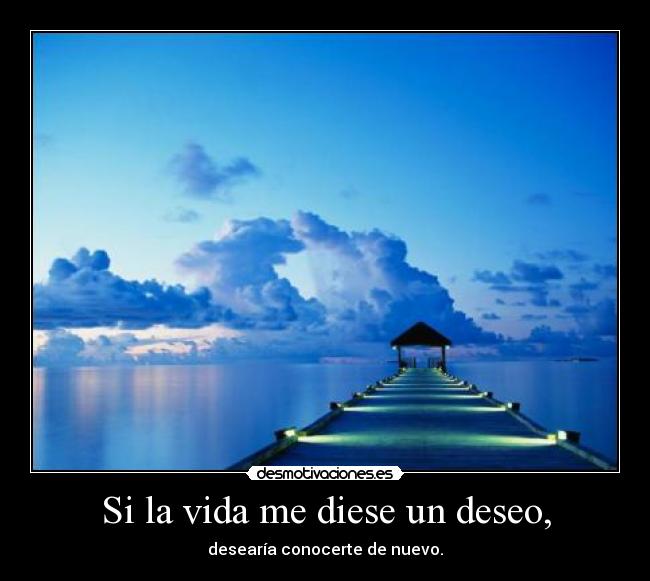 carteles vida vida desmotivaciones