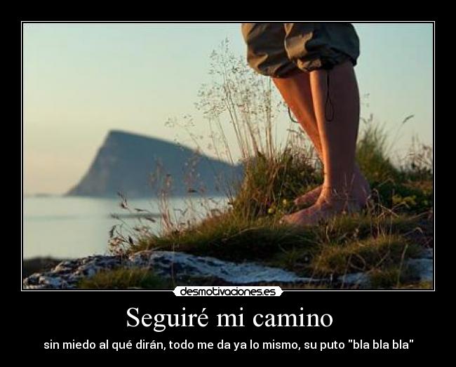 Seguiré mi camino - 