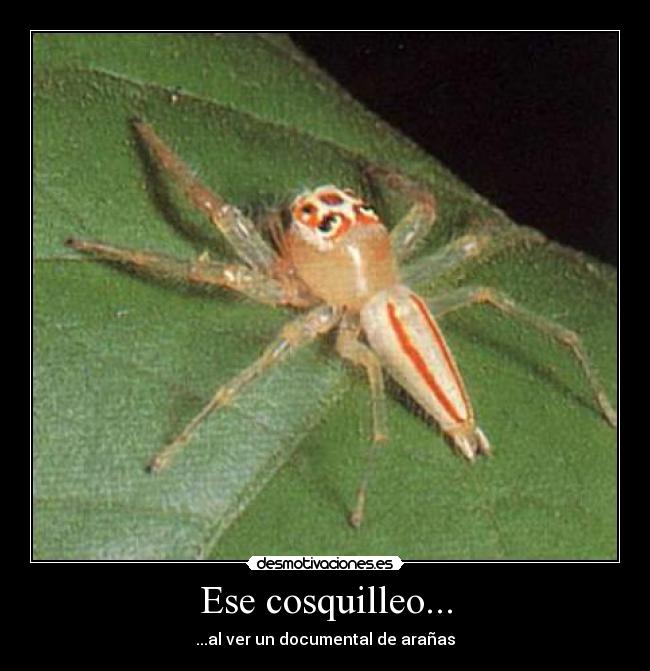 Ese cosquilleo... - 