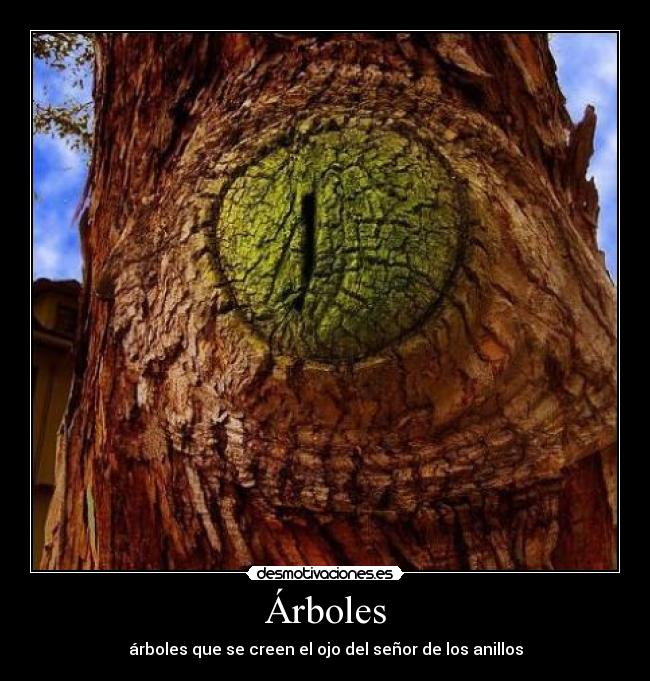 Árboles - 