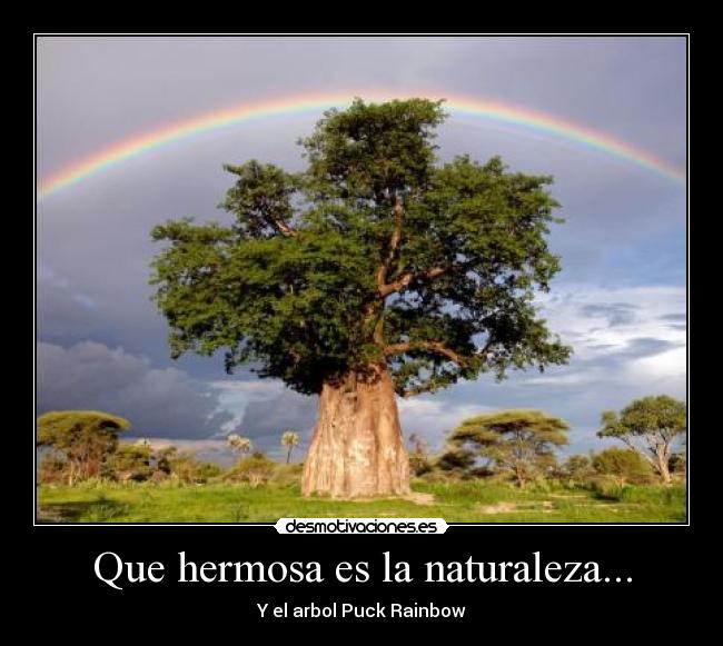 Que hermosa es la naturaleza... - 