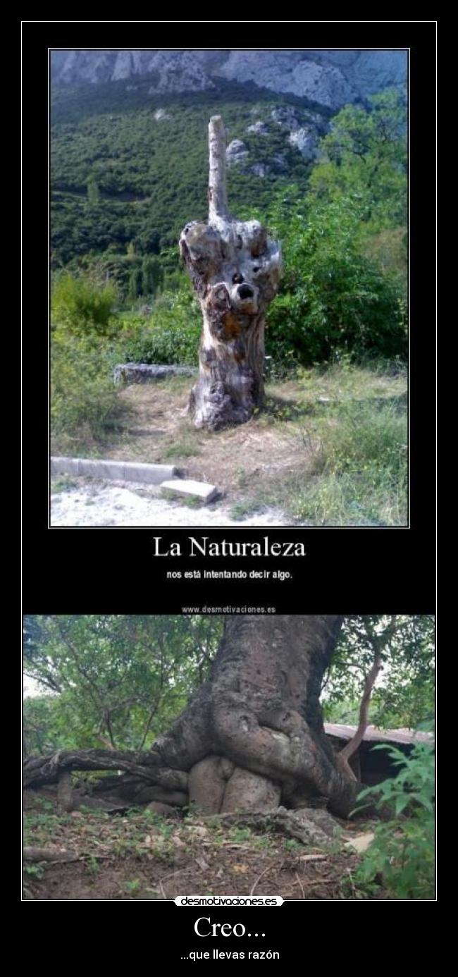 Creo... - ...que llevas razón