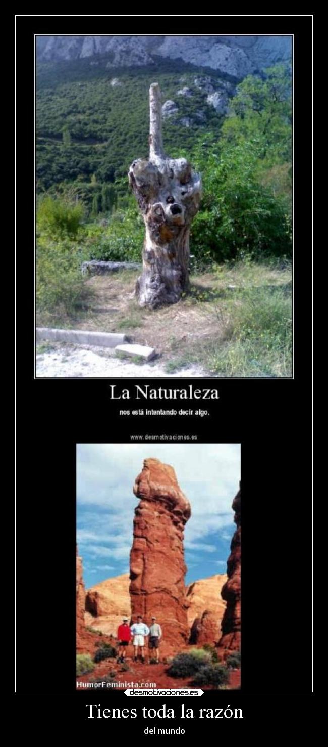 Tienes toda la razón -