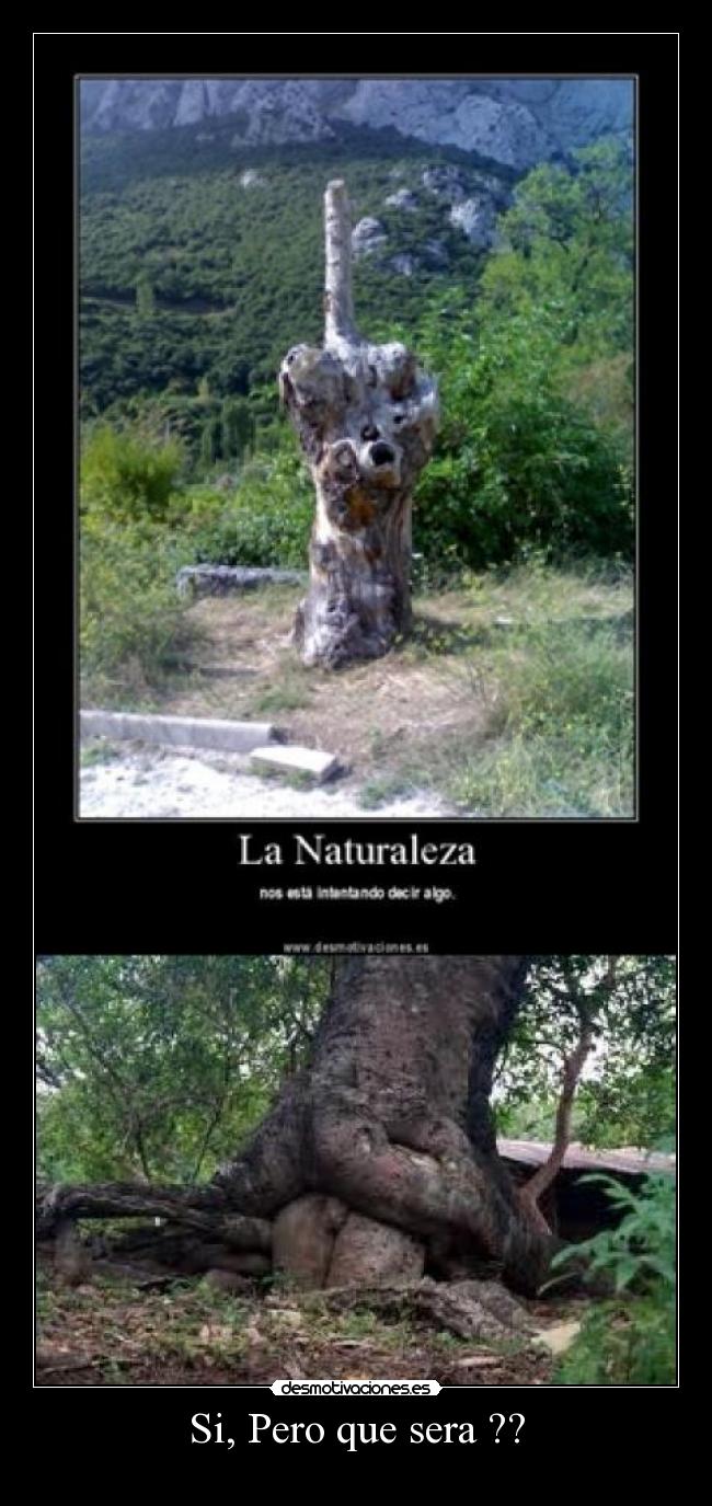 Si, Pero que sera ?? -