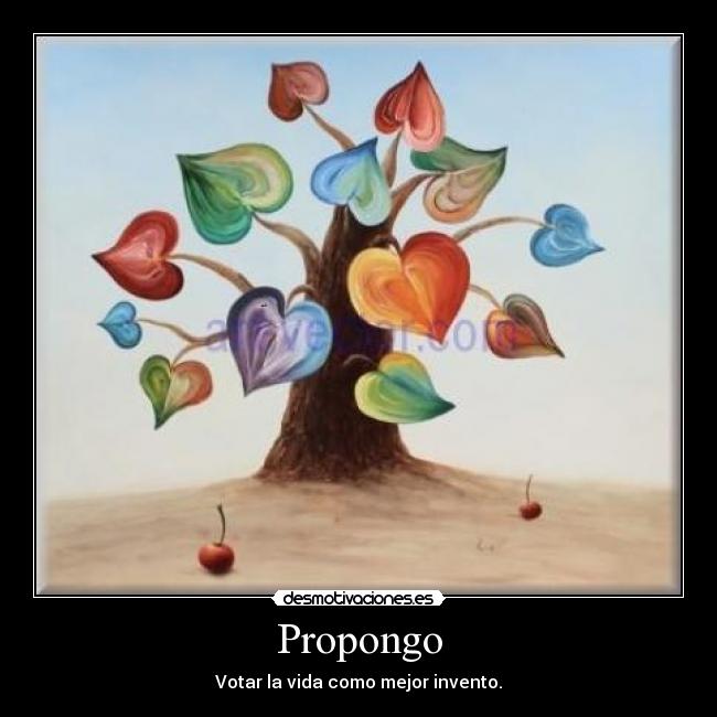 Propongo - 
