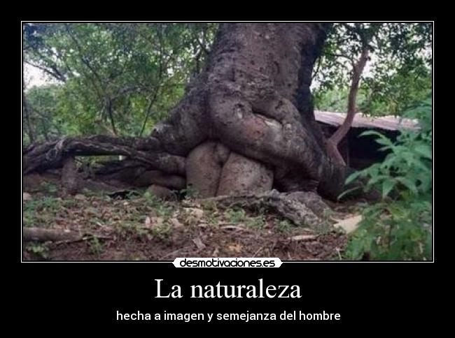 La naturaleza -