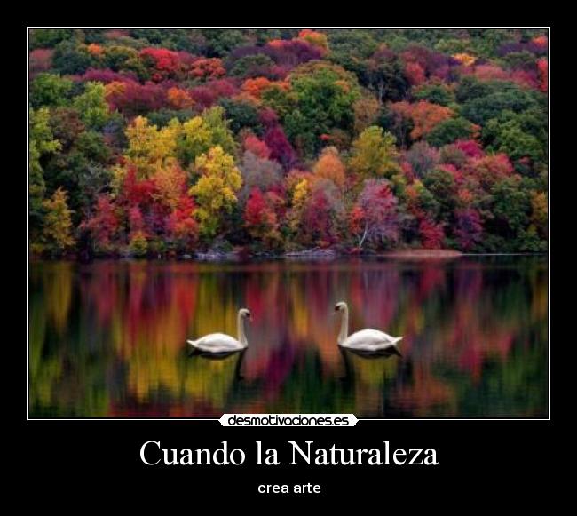 Cuando la Naturaleza - 