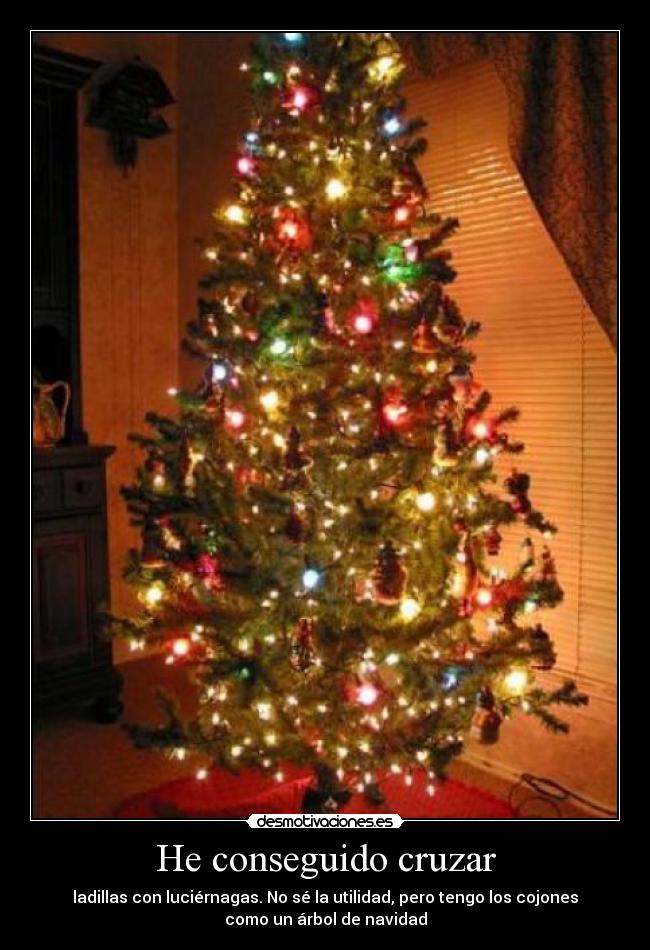 He conseguido cruzar - ladillas con luciérnagas. No sé la utilidad, pero tengo los cojones
como un árbol de navidad