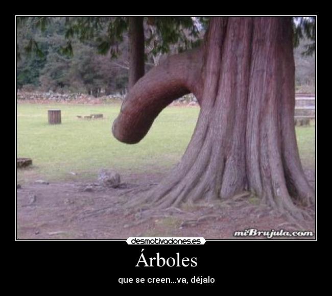 Árboles - 