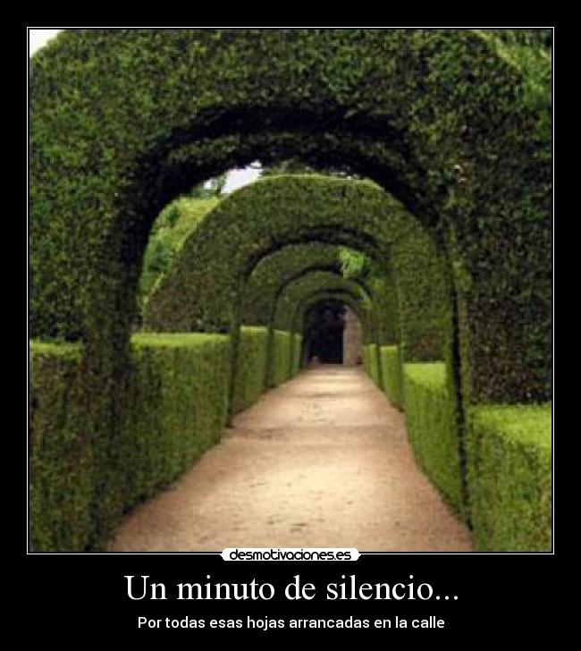 Un minuto de silencio... - Por todas esas hojas arrancadas en la calle