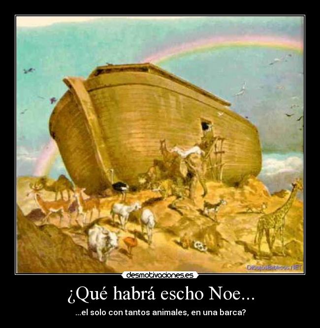 ¿Qué habrá escho Noe... - ...el solo con tantos animales, en una barca?