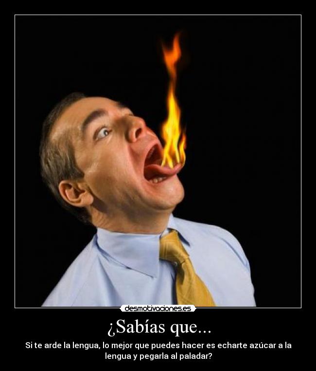 ¿Sabías que... -
