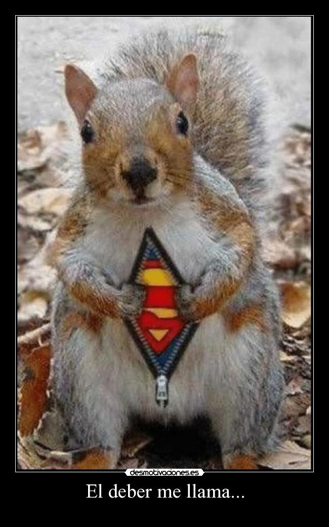 El deber me llama... - 