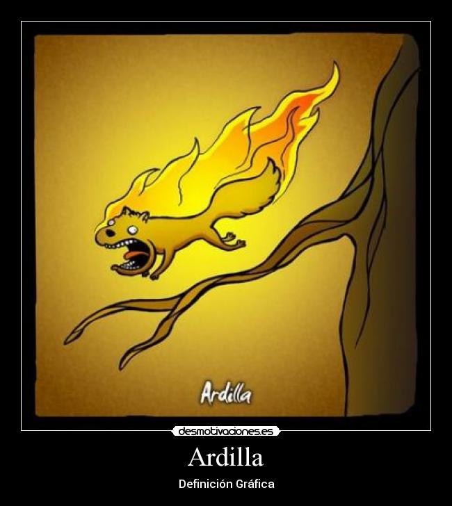 Ardilla - 