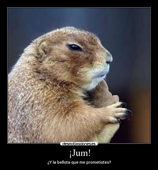 ¡Jum! - 