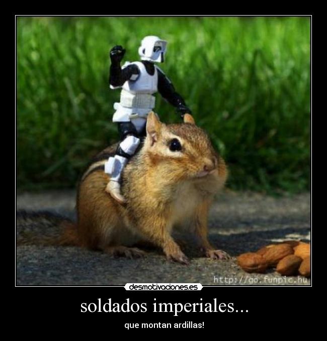 soldados imperiales... - que montan ardillas!