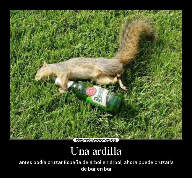 Una ardilla -