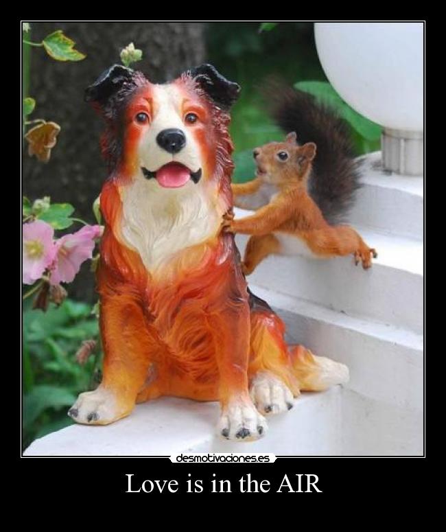 Love is in the AIR - 