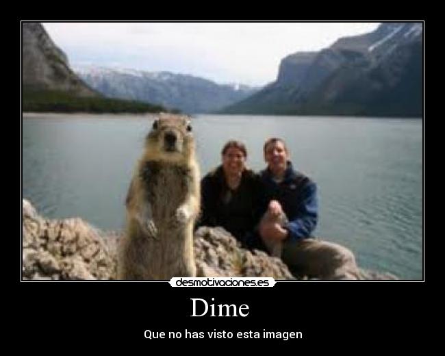 Dime - Que no has visto esta imagen