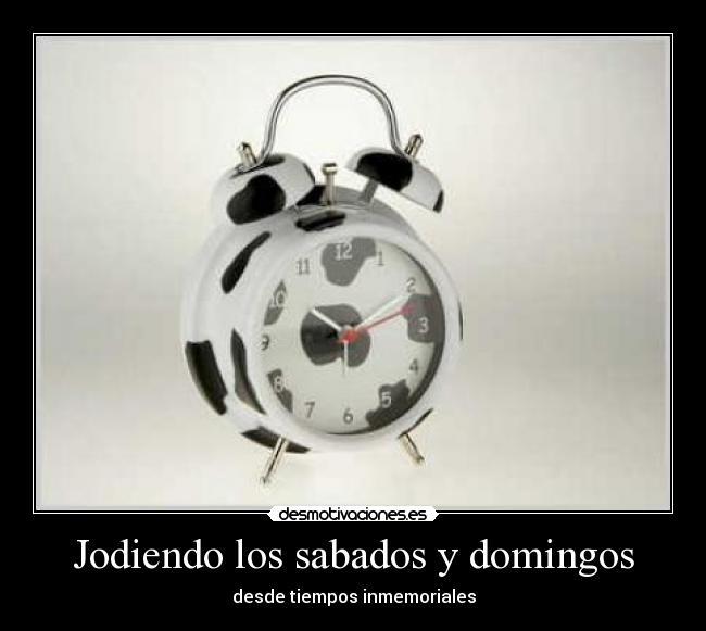 Jodiendo los sabados y domingos - 