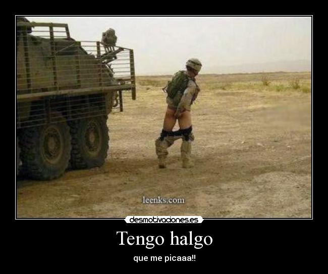 carteles picazon desmotivaciones