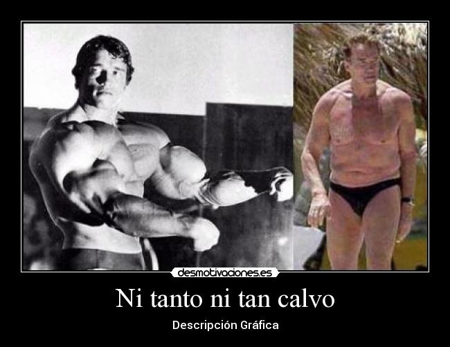 Ni tanto ni tan calvo - Descripción Gráfica