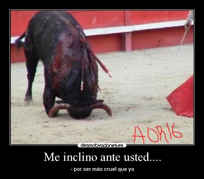 Me inclino ante usted.... - 