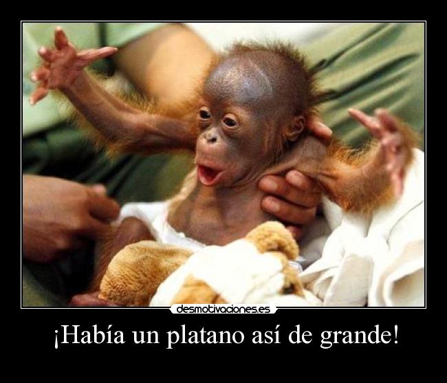 ¡Había un platano así de grande! - 