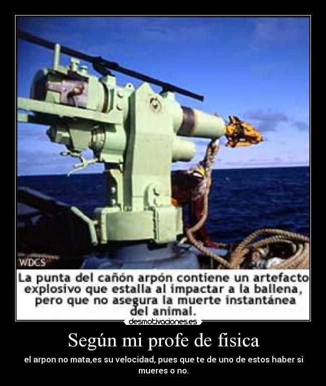 carteles fisica arpon muere ballena jaja agua fama desmotivaciones