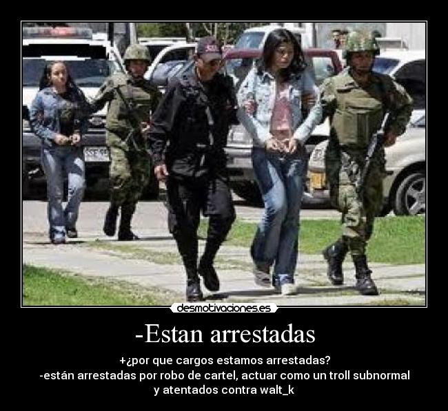 -Estan arrestadas - +¿por que cargos estamos arrestadas?
-están arrestadas por robo de cartel, actuar como un troll subnormal
y atentados contra walt_k