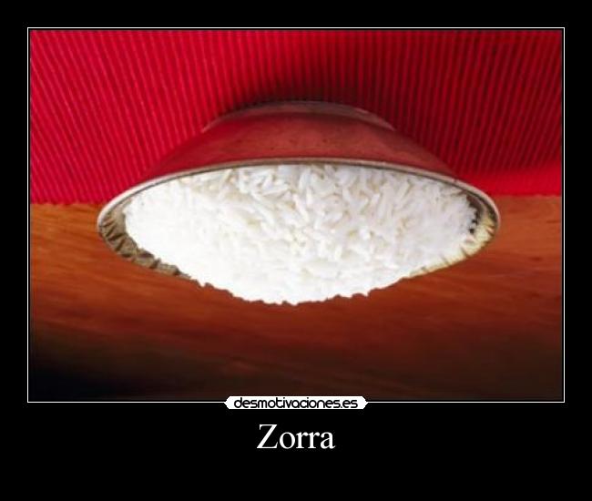 Zorra - 