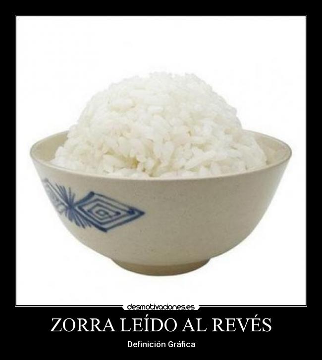 carteles zorra chuck norris desmotivaciones desmotivaciones