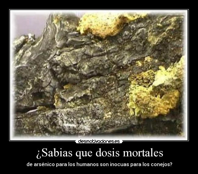¿Sabias que dosis mortales -