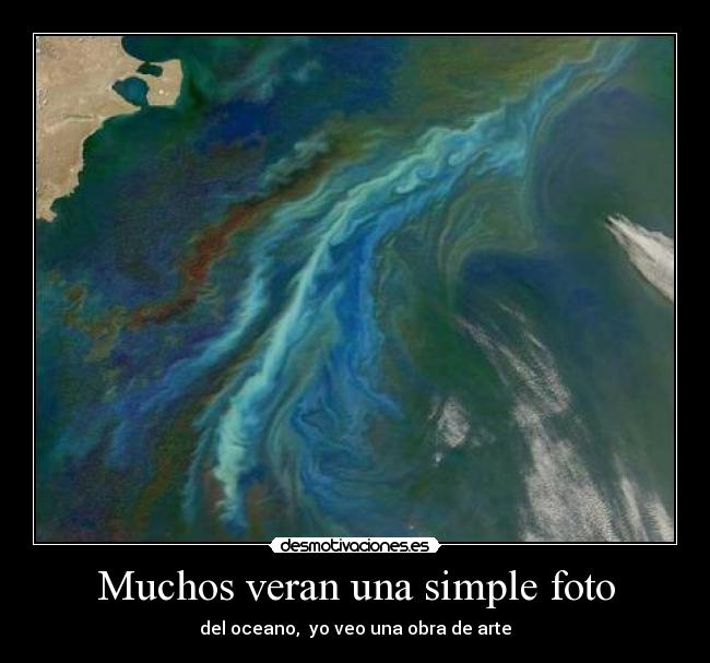 Muchos veran una simple foto - del oceano, yo veo una obra de arte