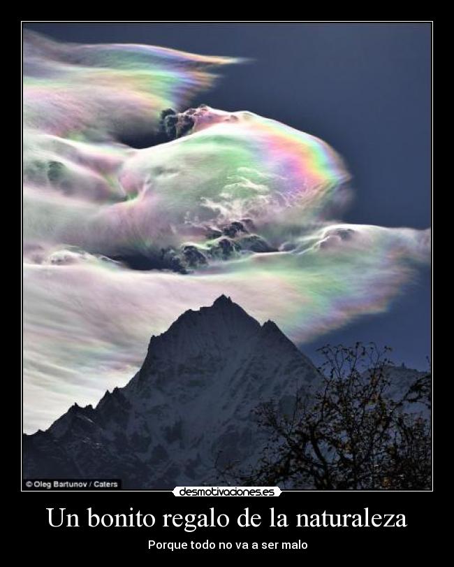 Un bonito regalo de la naturaleza - Porque todo no va a ser malo