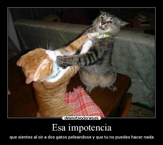 Esa impotencia -
