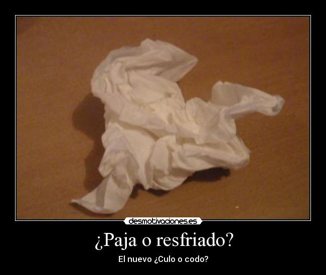 ¿Paja o resfriado? -