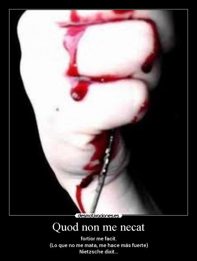 carteles nietzsche desmotivaciones