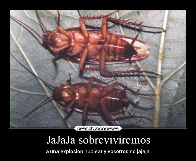 JaJaJa sobreviviremos - a una explosion nuclear y vosotros no jajaja.