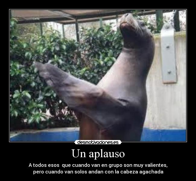 Un aplauso - A todos esos que cuando van en grupo son muy valientes,
pero cuando van solos andan con la cabeza agachada