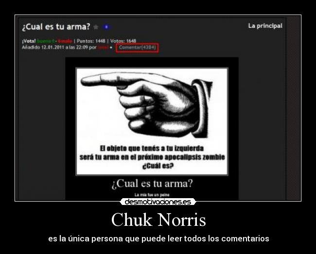 Chuk Norris - es la única persona que puede leer todos los comentarios