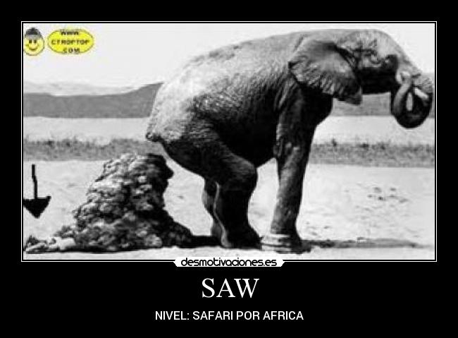 SAW -