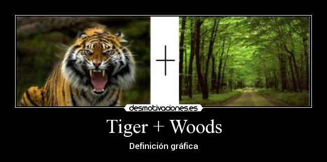 Tiger + Woods - Definición gráfica
