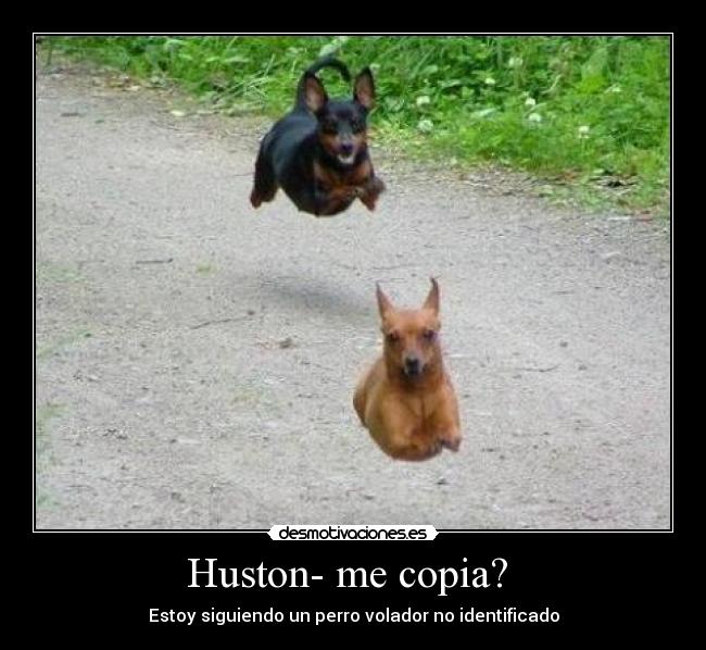 Huston- me copia?  - Estoy siguiendo un perro volador no identificado