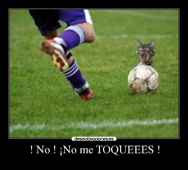 ! No ! ¡No me TOQUEEES ! -