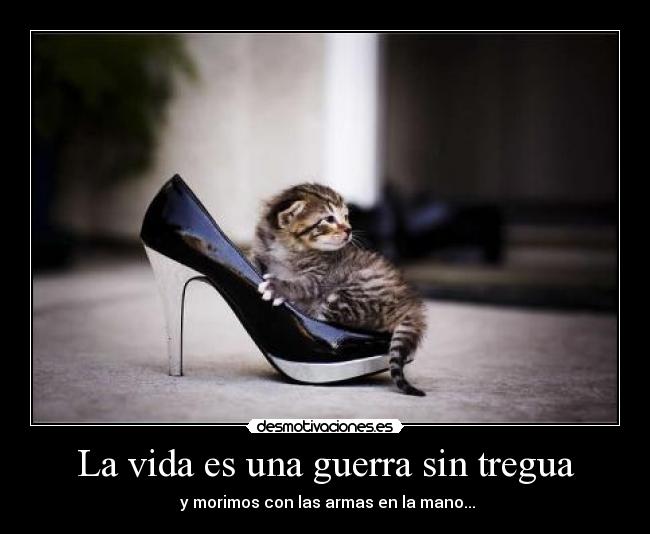 La vida es una guerra sin tregua -